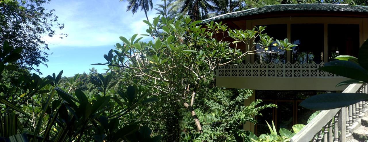 Tangkoko Sanctuary Villa Bitung Exterior photo